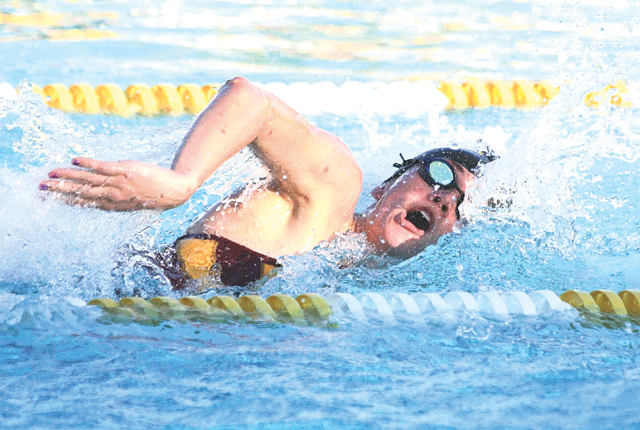 Veteran, rookie head for state swim finals